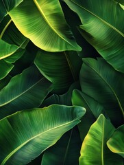 Obraz premium Tropical green leaves background with lush foliage and vibrant colors, background, vibrant, green