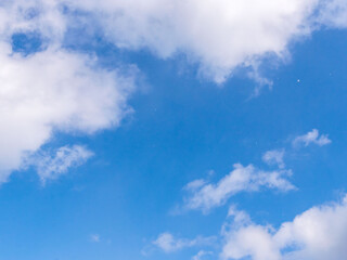 Fototapeta premium 冬の青空に雪が舞う07