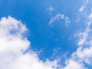 Obraz premium 冬の青空に雪が舞う08