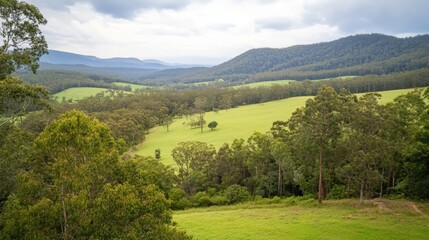 Obraz premium Serene Valley Landscape with Lush Green Hills