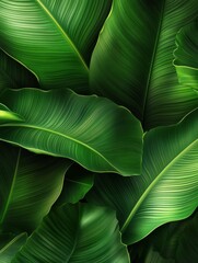 Tropical foliage background with lush green leaves