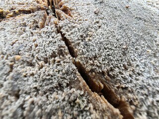 A piece of wood with a crack in it