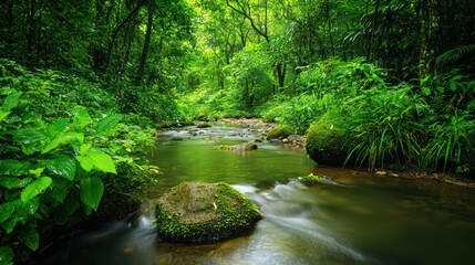 Serene Green River Flowing Through Lush Tropical Forest