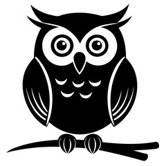 owl on a white background