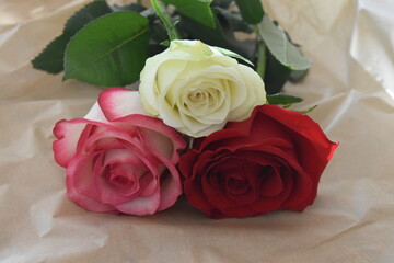 Roses for Valentine's Day 2025.