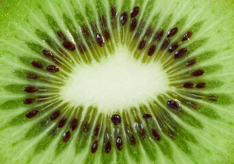 closeup of a fresh kiwi fruit