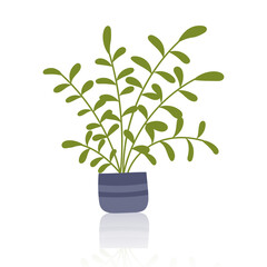 Houseplant in the pot isolated on white. Concept of indoor greenery, home decor, nature and botanical design. Vector hand drawn clipart.