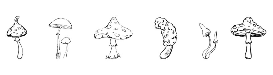 Mushroom sketch doodle drawing, fantasy forest line plant. Set botanical hand drawn mushrooms. Tattoo sign Linear.