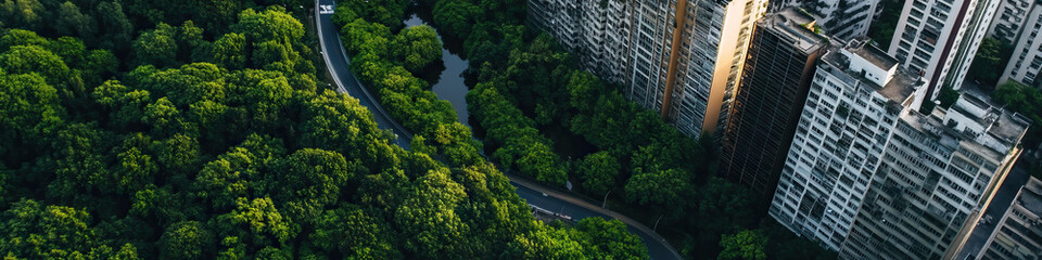 Aerial View of Road, Forest, and Apartment Buildings