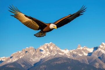 Bald Eagle Soaring Over Snowy Mountains
