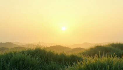 Misty dawn with wavy grass on a pale beige background, serene landscape, misty, grass