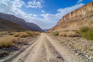 Desert road canyon adventure travel landscape