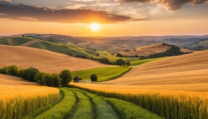 Naklejka premium Rolling Hills with Golden Wheat Fields at Sunset
