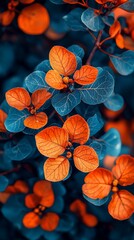 Orange and teal leaves closeup, autumn garden, vibrant foliage, nature background, website banner