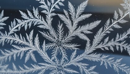 Intricate Ice Crystals on a Windowpane