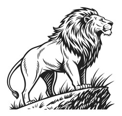 Pencil sketch of Lion line art icon sign silhouette vector illustration on white background