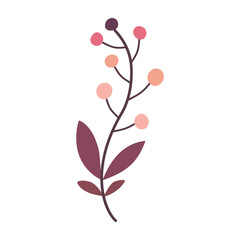 Branch with leaves and berries, isolated, vector illustration, design