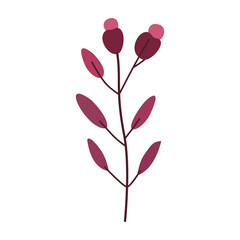 Plant leaf, branch. Icon, vector illustration, graphic design, flat style