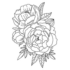 Blossom Flower Hand Draw Line Art