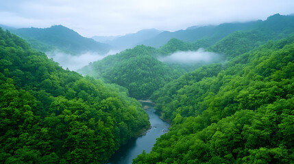 Misty mountain river valley, lush green foliage, aerial view, tranquil nature scene, ideal for travel brochures