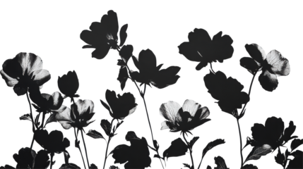 seamless floral pattern  isolated on transparent background