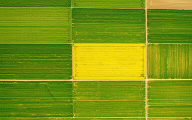 Aerial View of Vibrant Agricultural Fields with Green and Yellow Crops
