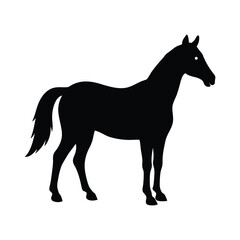 Obraz premium silhouette of a horse Art 