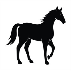Obraz premium horse vector illustration