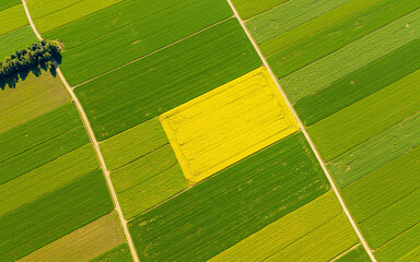 Aerial View of Vibrant Agricultural Fields with Green and Yellow Crops