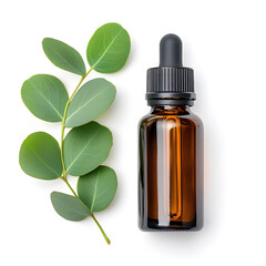 Eucalyptus oil extract glass bottle mock up flat lay with eucalyptus branches isolated on white
