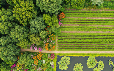 Aerial View of Green Farm Fields, Trees, and Flower Garden