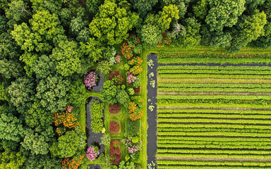 Aerial View of Green Farm Fields, Trees, and Flower Garden