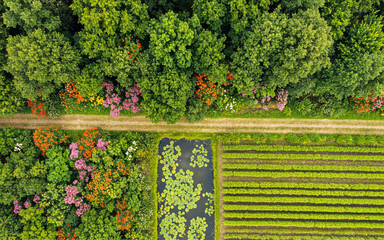 Aerial View of Green Farm Fields, Trees, and Flower Garden