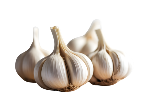 Fresh garlic cloves displayed on a clean white background, showcasing their pungent flavor and importance in culinary recipes.