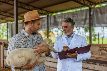 Veterinarian writing down data about a lamb held by a farmer