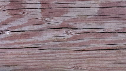 Obraz premium Photos of wooden surface for background.