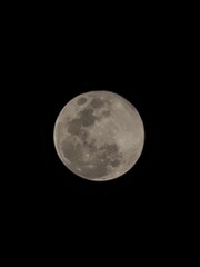 Fototapeta premium moon