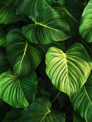 Lush tropical green leaves creating a vibrant and natural background, vibrant, background