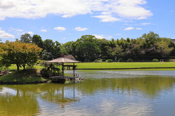 Fototapeta premium 日本庭園にある池と木々