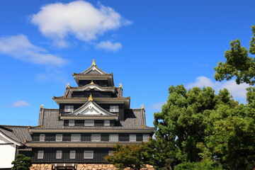 Fototapeta premium 青空の下の岡山成