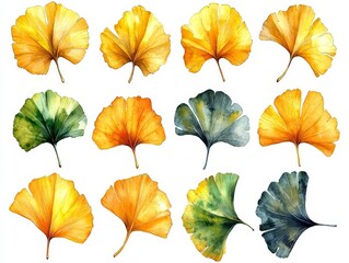 Obraz premium Elegant Watercolor Ginkgo Leaves in Golden Yellow Hues on Clean White Background with Intricate Brush Details