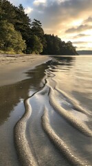 Sandy beach, calm water,  tree line, sunset glow.