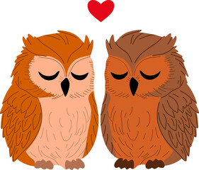 Owls in love
