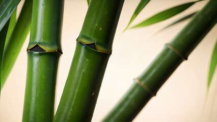 Obraz premium Vibrant bamboo stalks with lush green leaves evoke feelings of vitality. The close-up composition highlights the organic textures and natural curves of the stems, emphasizing themes of nature's beauty