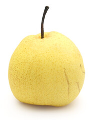 Comice Pear Isolated On White Background - stock photo
