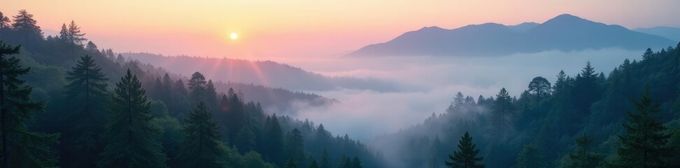 Obraz premium Mountain forest with misty morning atmosphere, mist, mysterious