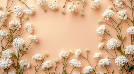 Delicate white flowers arranged in a circular frame on a soft peach background, evoking tranquility