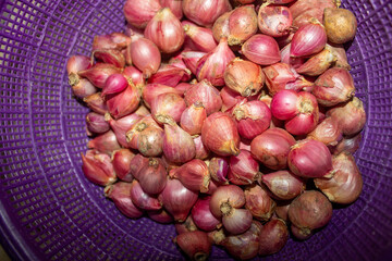 Shallots originating from Enrekang Regency, South Sulawesi, Indonesia.
Pinrang, South Sulawesi Indonesia.
February 06 2025