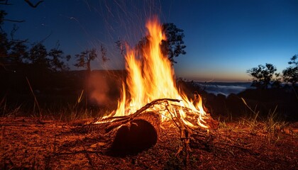 realistics photo of a bornfire at night