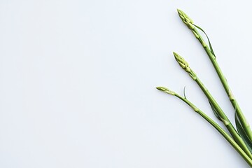 Fototapeta premium Fresh Green Asparagus Spears on White Background Minimalist Food Photography Concept